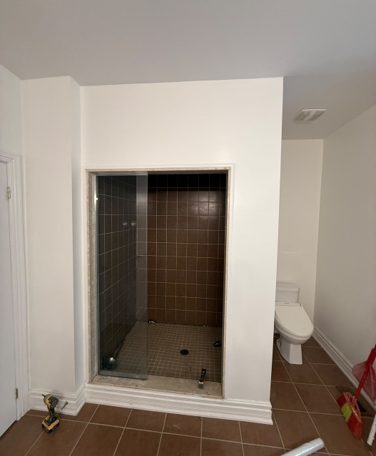 Bathroom Transformations — before