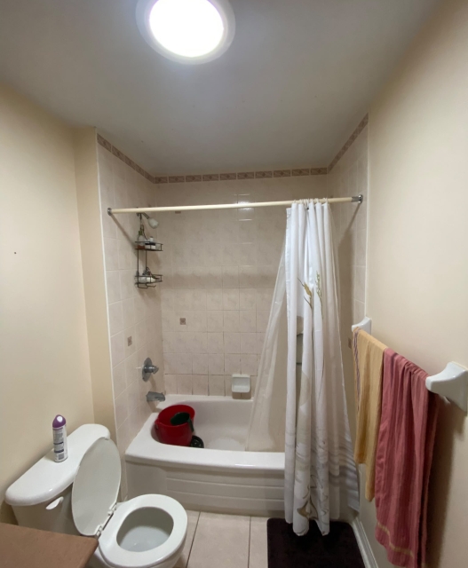 Bathroom Transformations — before